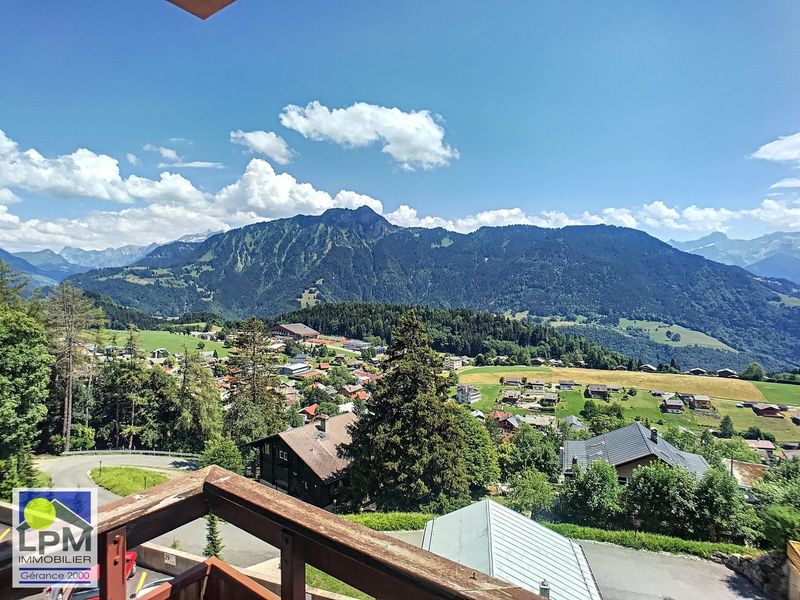 leysin 3.5 room apartment for rent