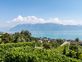 Spacieuse propriété vigneronne avec vue panoramique sur le lac